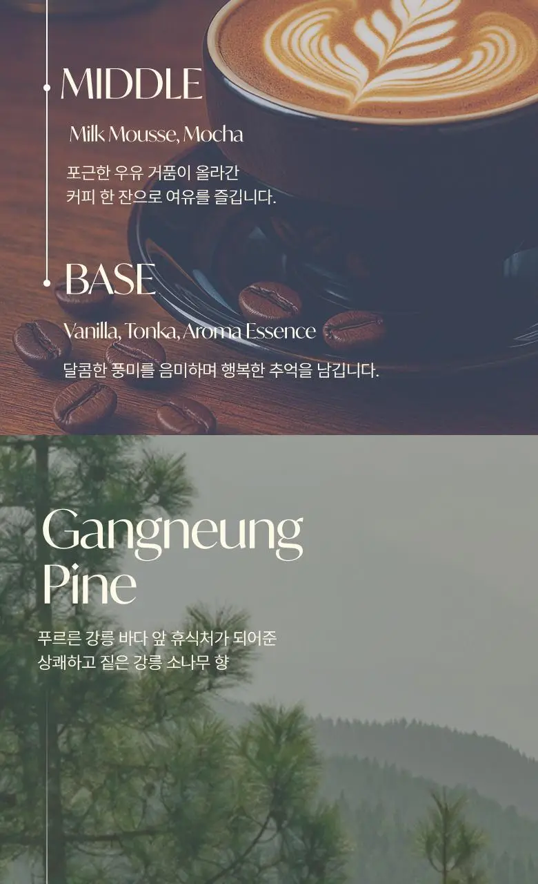 [강릉한정판매]라운드어라운드 센티드 샤쉐 2종 [소나무,커피] 상세페이지 10